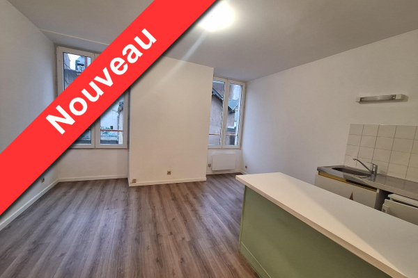 Appartement Studio de 17 m² à louer à NANTES