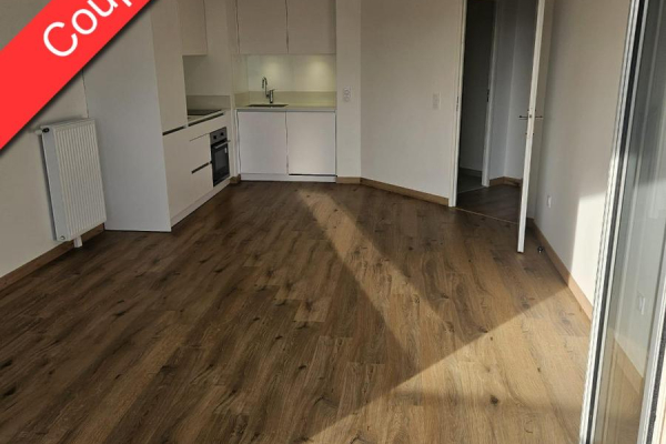 Appartement T3 de 56 m² à louer à CHAMPS SUR MARNE